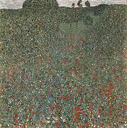 Gustav Klimt Mohnfeld oil painting artist